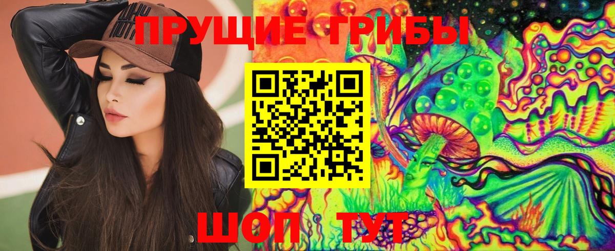 Псилоцибиновые грибы мицелий  Псилоцибиновые грибы GOLDEN TEACHER  Магадан  Вход с VPN 